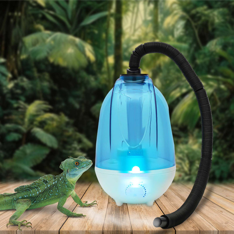 Iguana humidifier hotsell